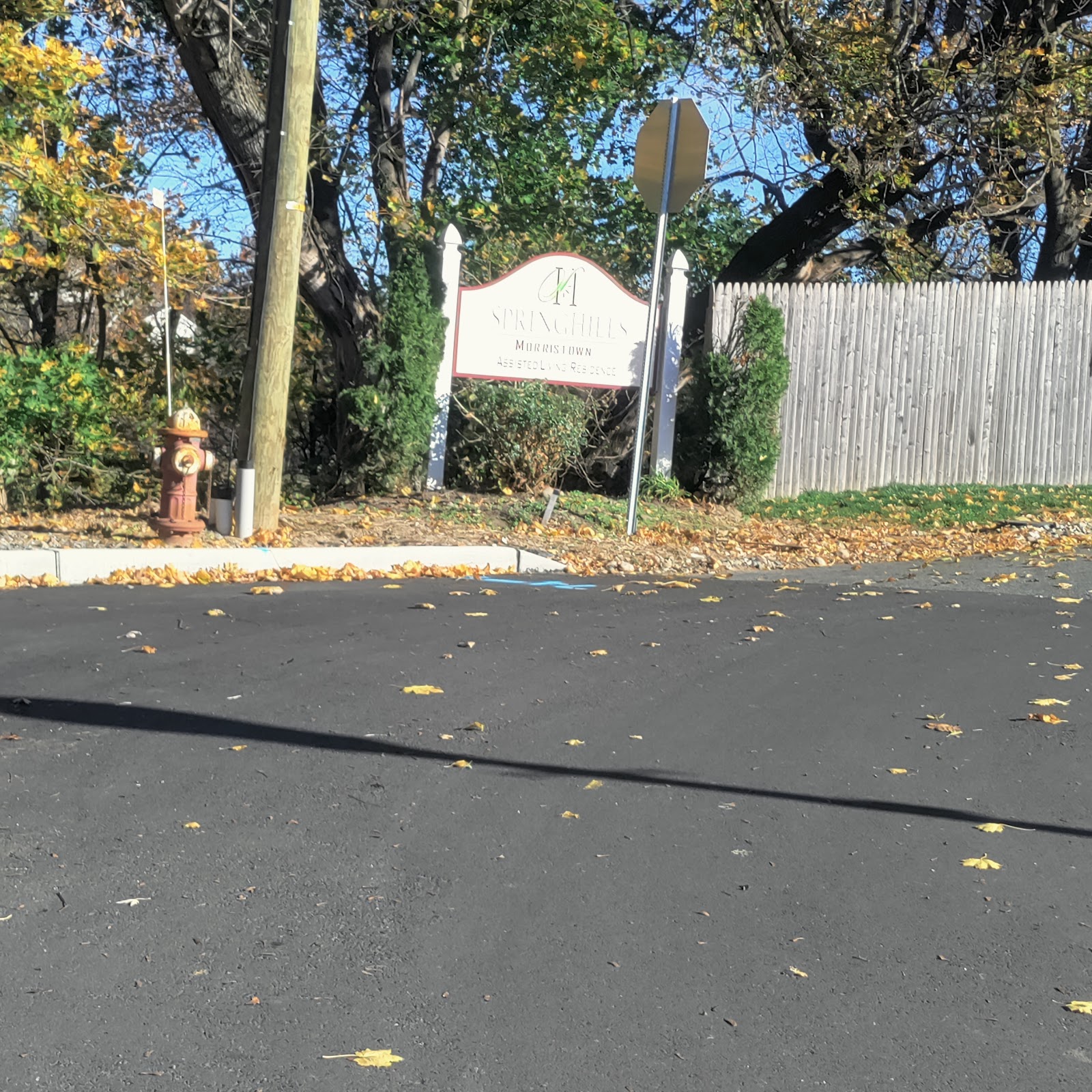 Spring Hills Morristown - Assisted Senior Living Facility in New Jersey