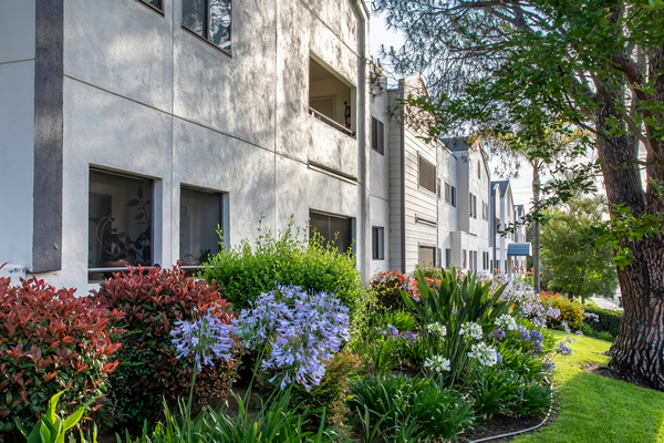 Redwood Terrace