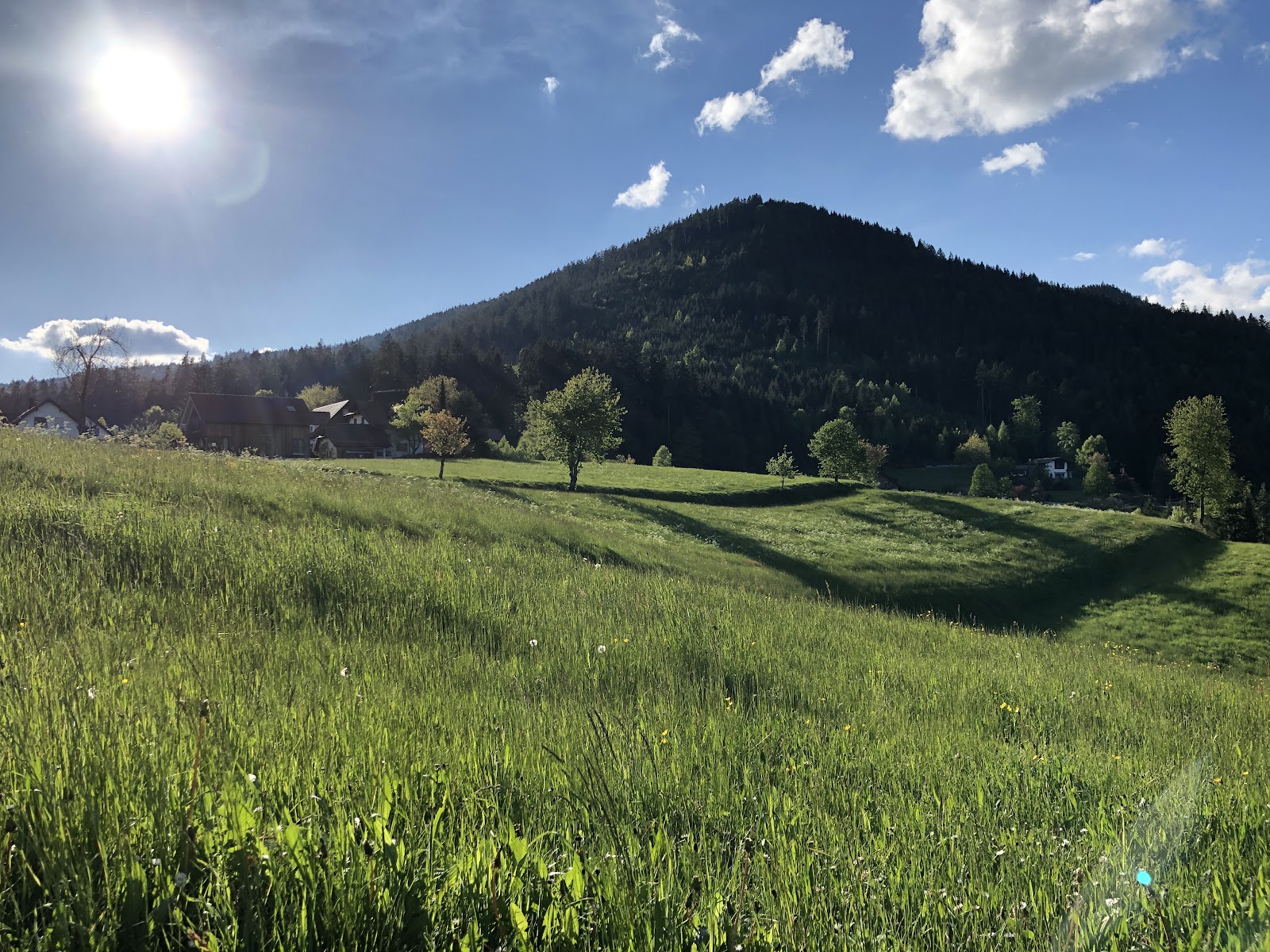 Haus Murgtalblick