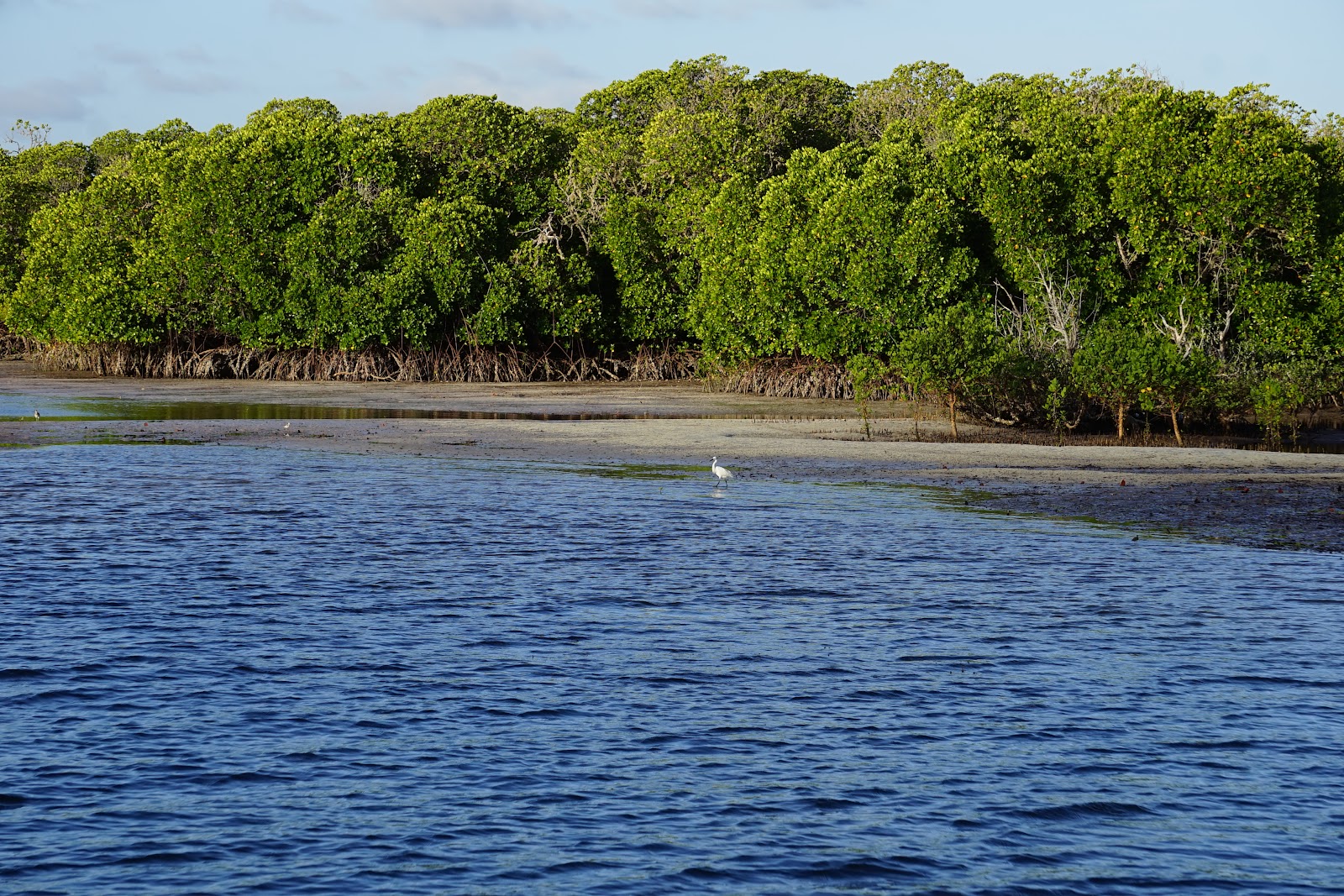 Watamu Luxury Villas