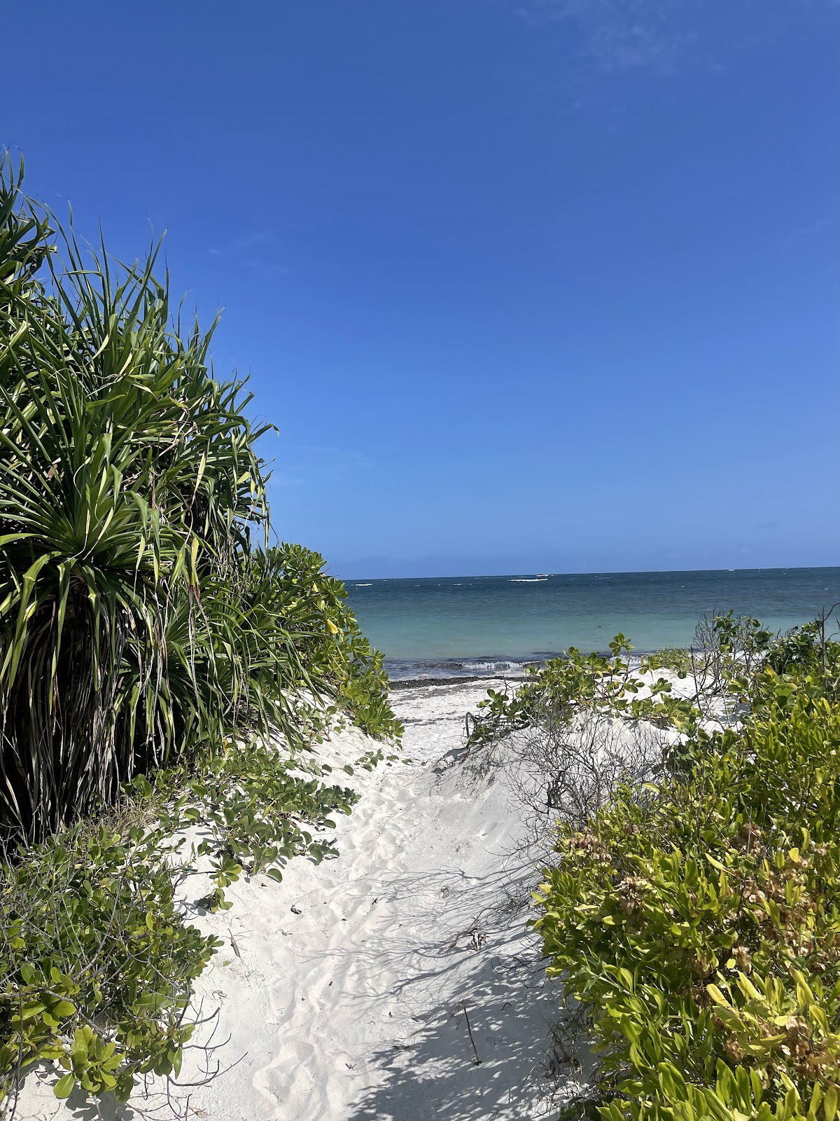 Watamu Luxury Villas