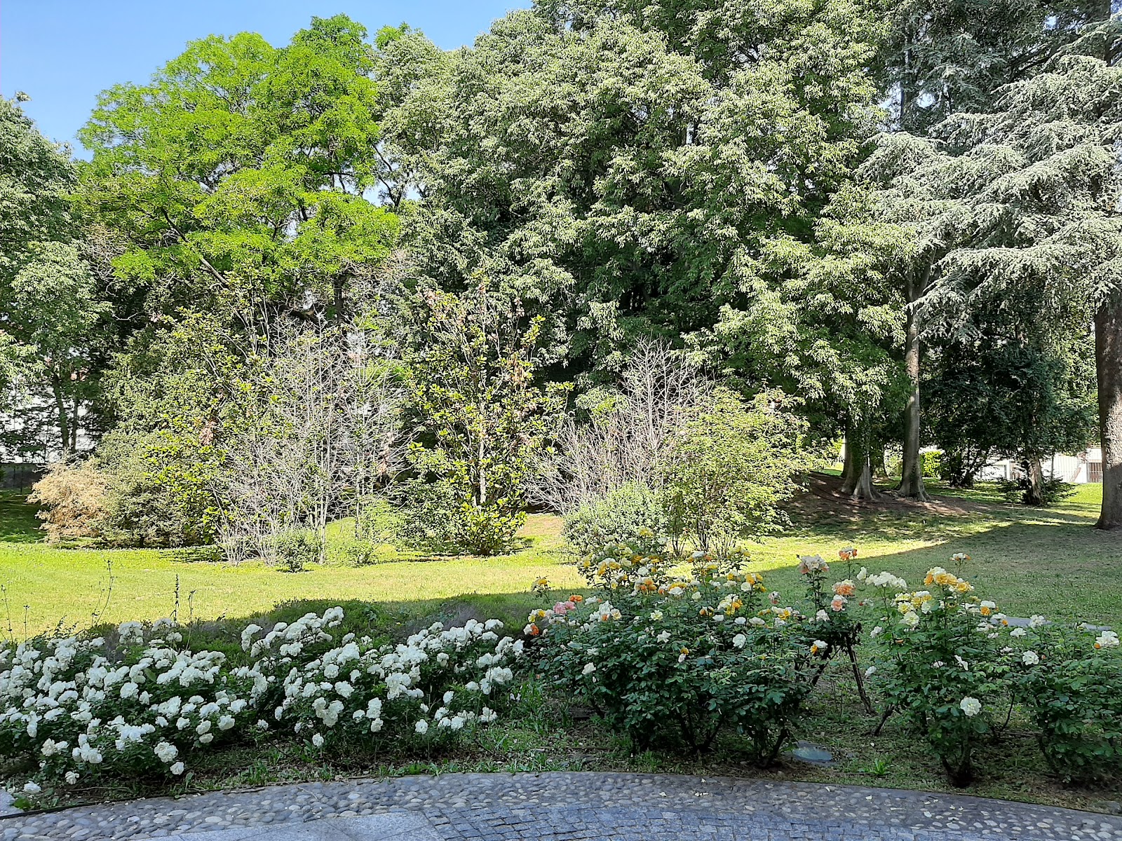Centro di Cultura Villa Brivio