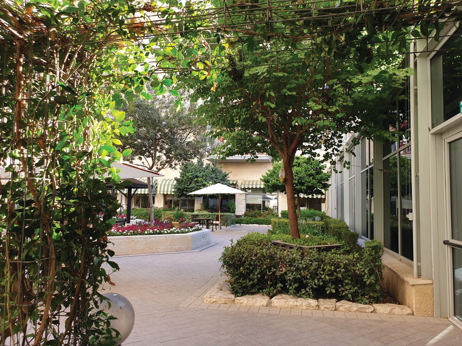 אחוזת בית הכרם - דיור מוגן בירושלים