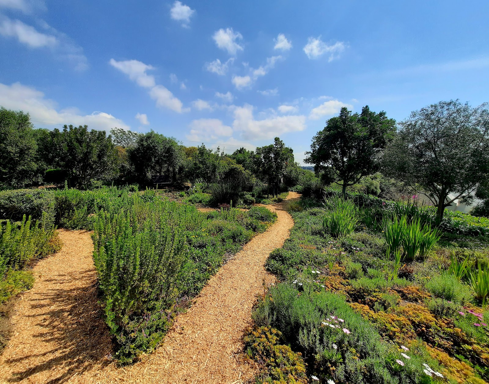 La Clémence Retirement Village