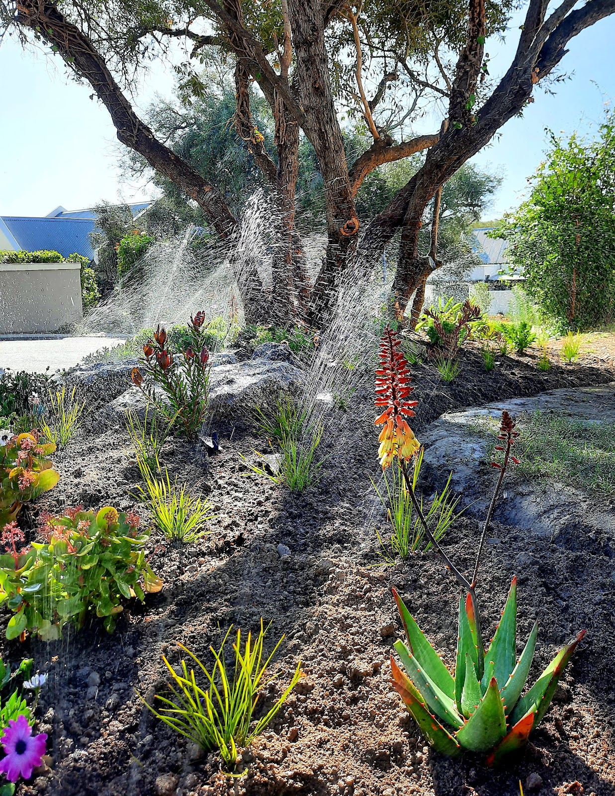 La Clémence Retirement Village