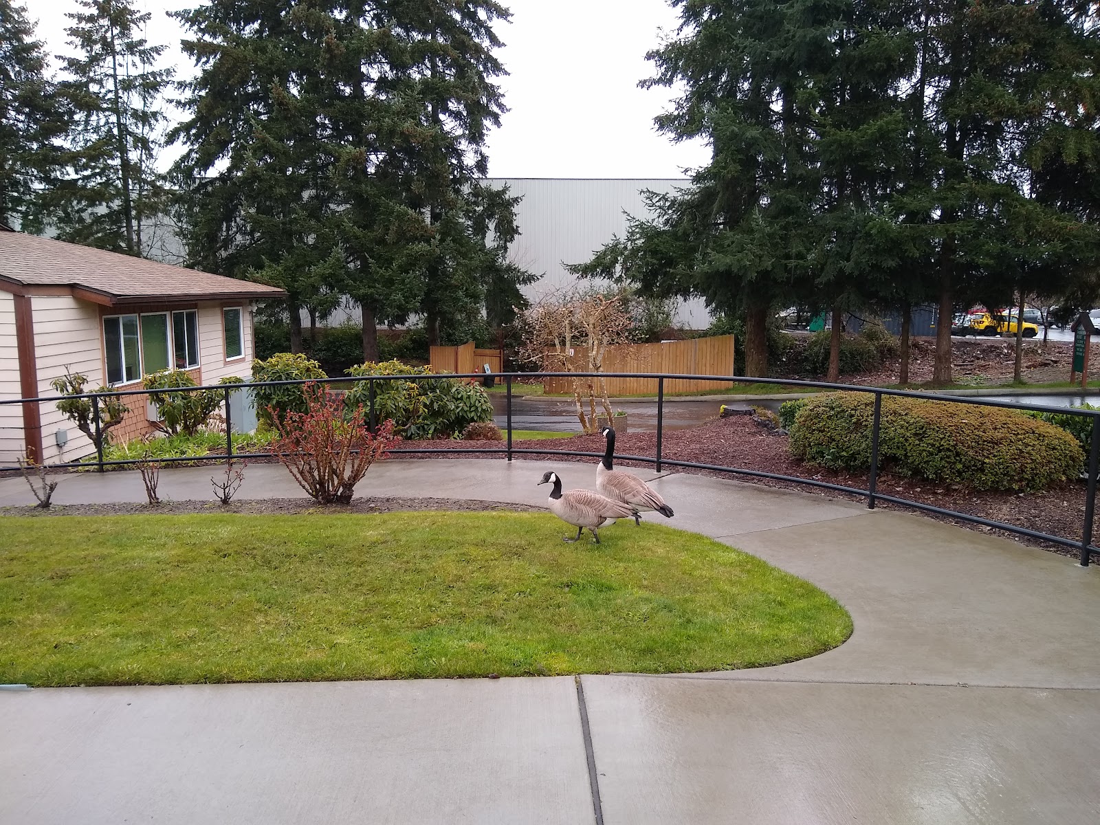 Tahoma Vista Village