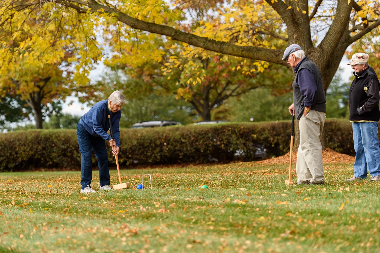 Dock Woods – Living Branches Senior Living Community