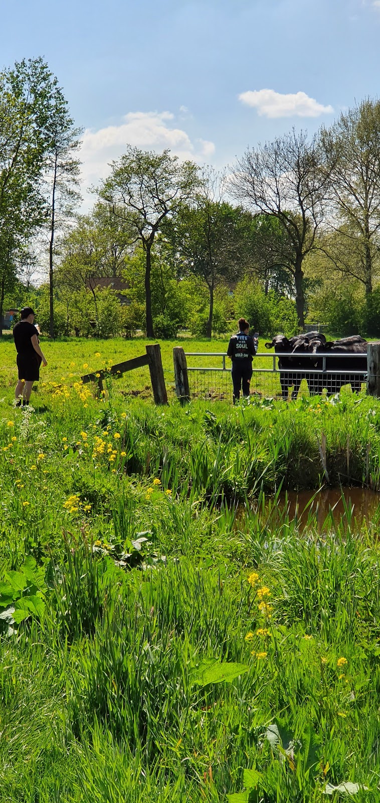 De dijk - ons tweede huis