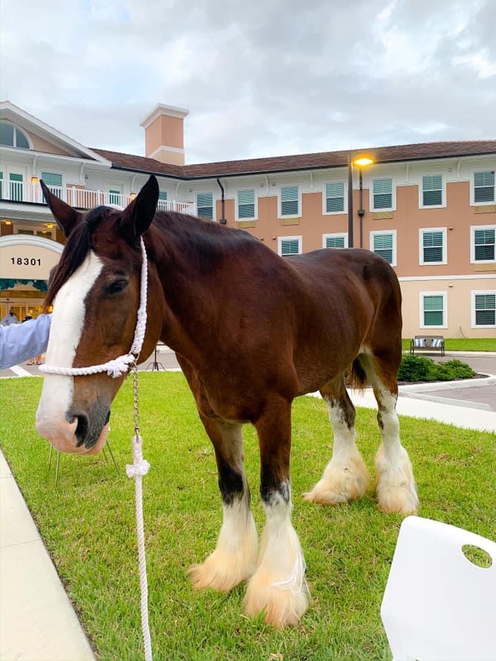 Canterfield of Fort Myers