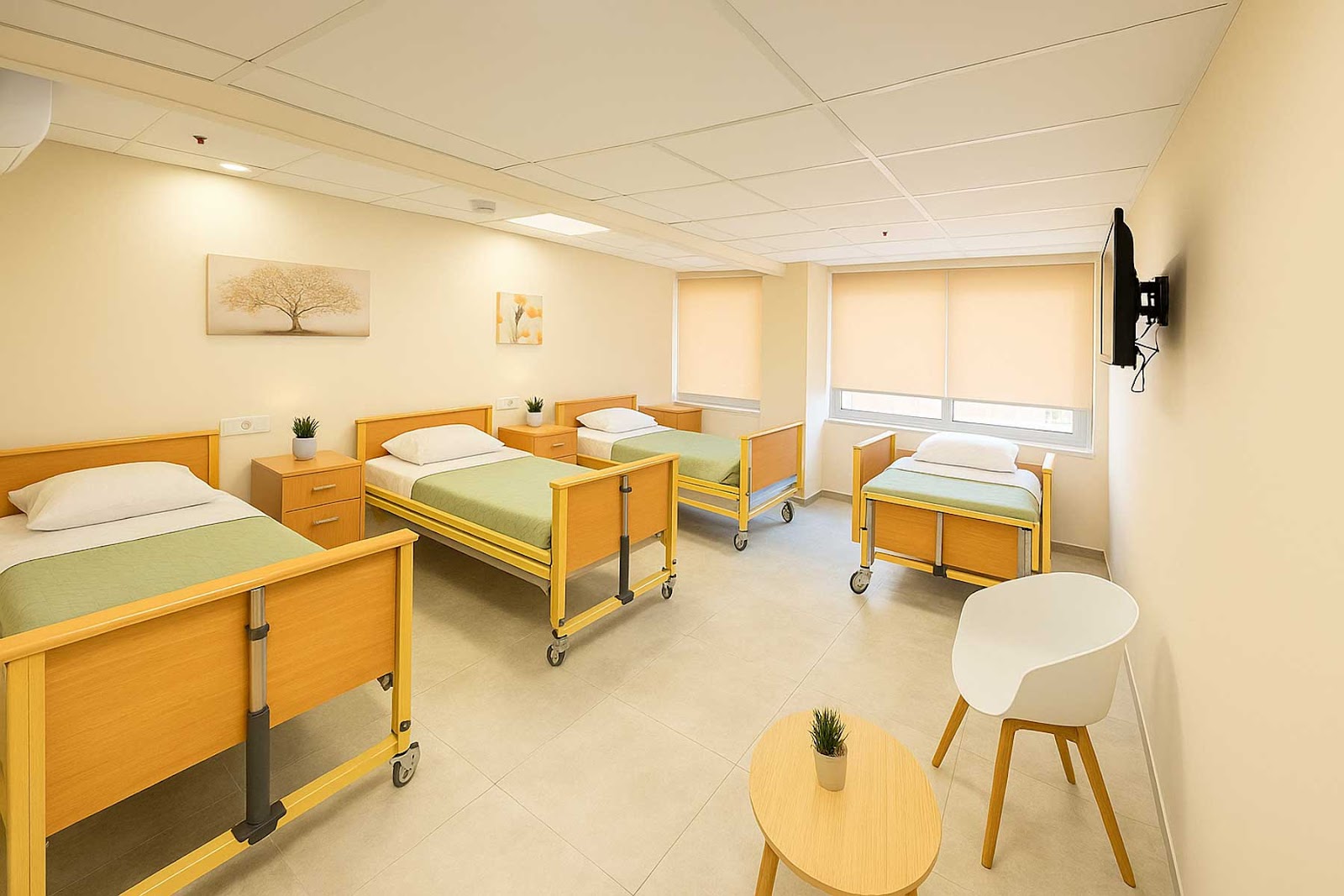 Λεώνια Καλλιθέα Care Πρότυπη Μονάδα Φροντίδας Ηλικιωμένων