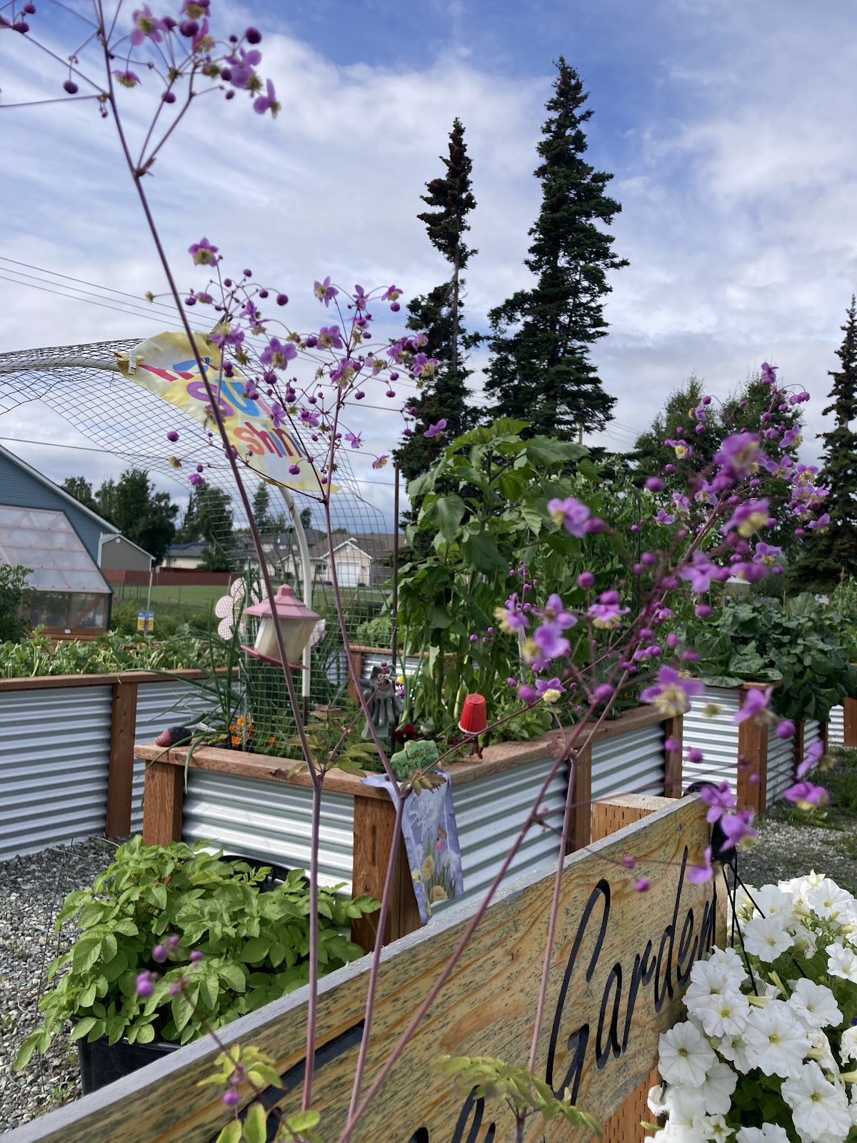 Wasilla Area Seniors, Inc.