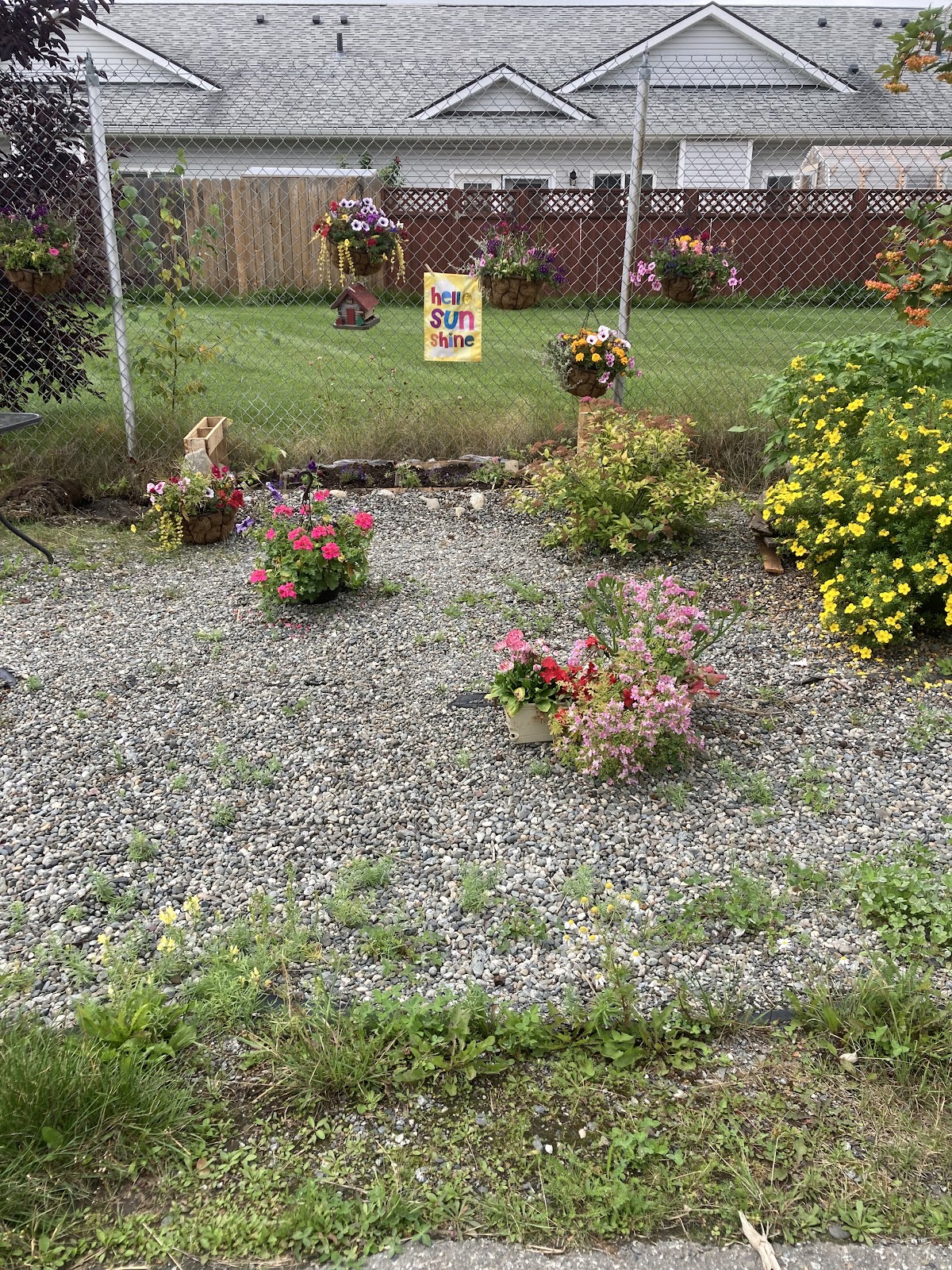 Wasilla Area Seniors, Inc.