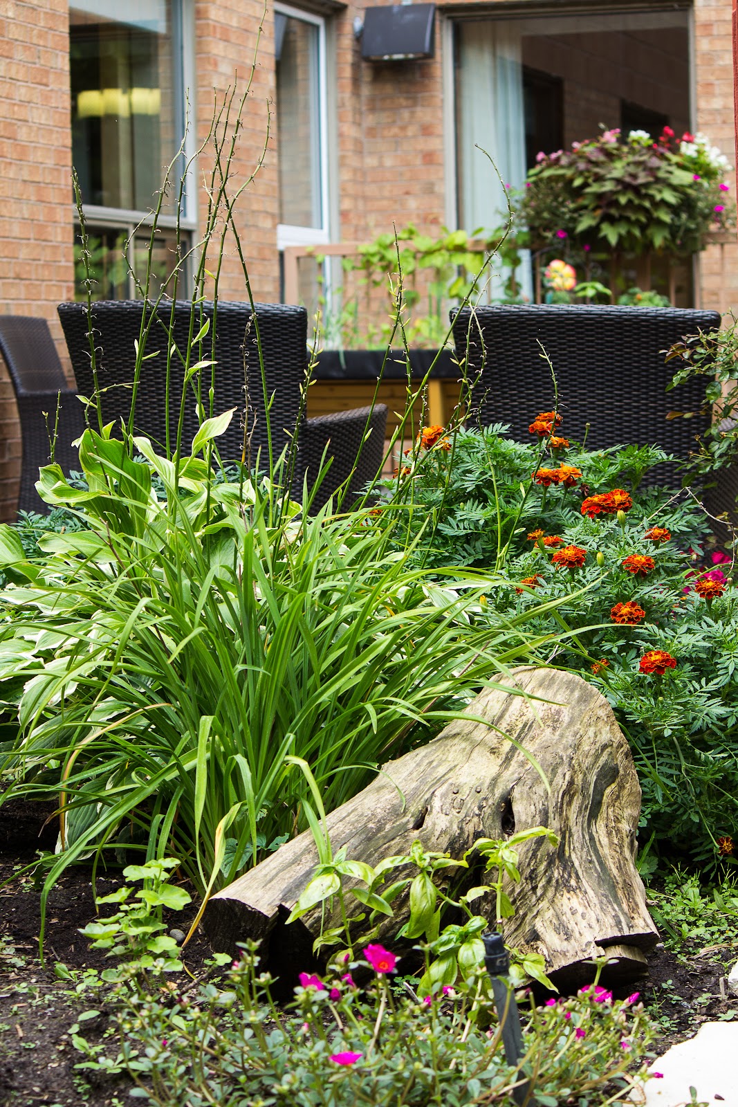 Cedarcroft Place Retirement Community by Spring Living