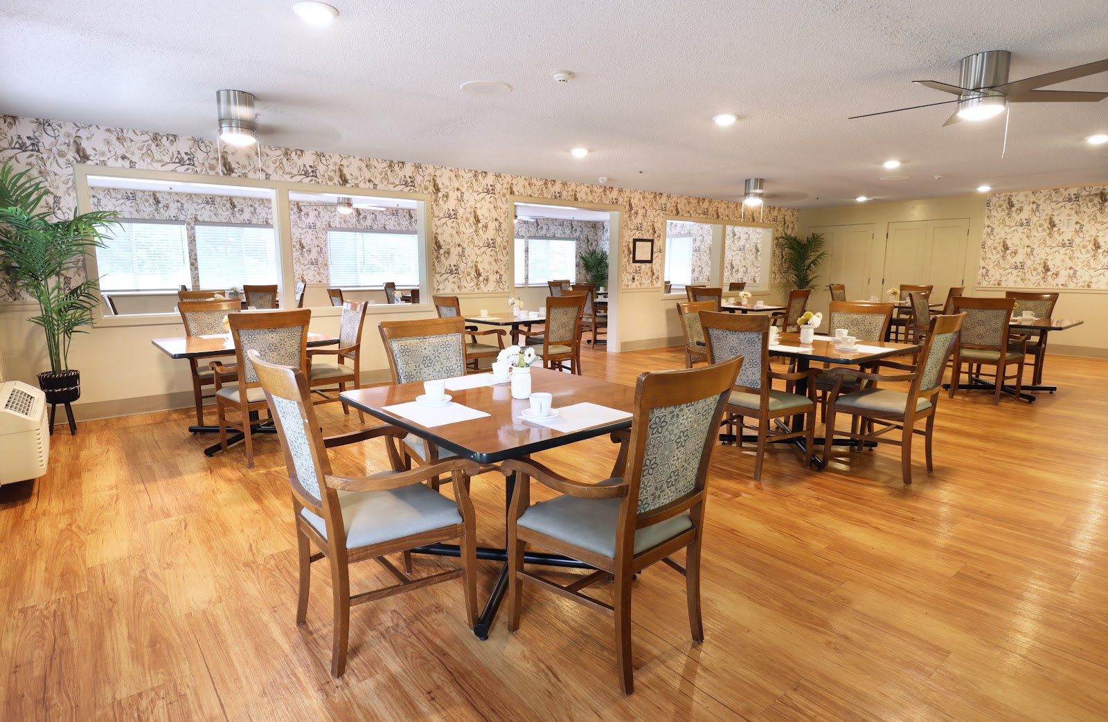 Serenity Care Kingston