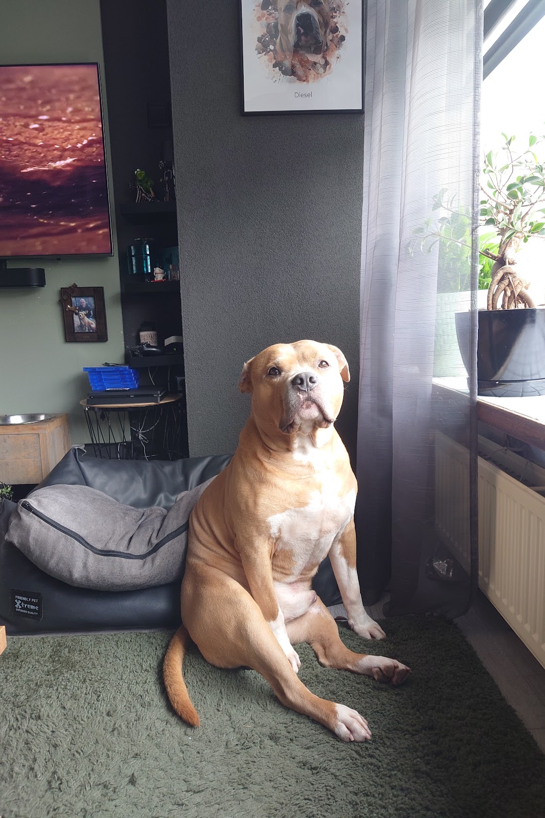 Dierenverzorgingscentrum "NO Kwadrant Sliedrecht"
