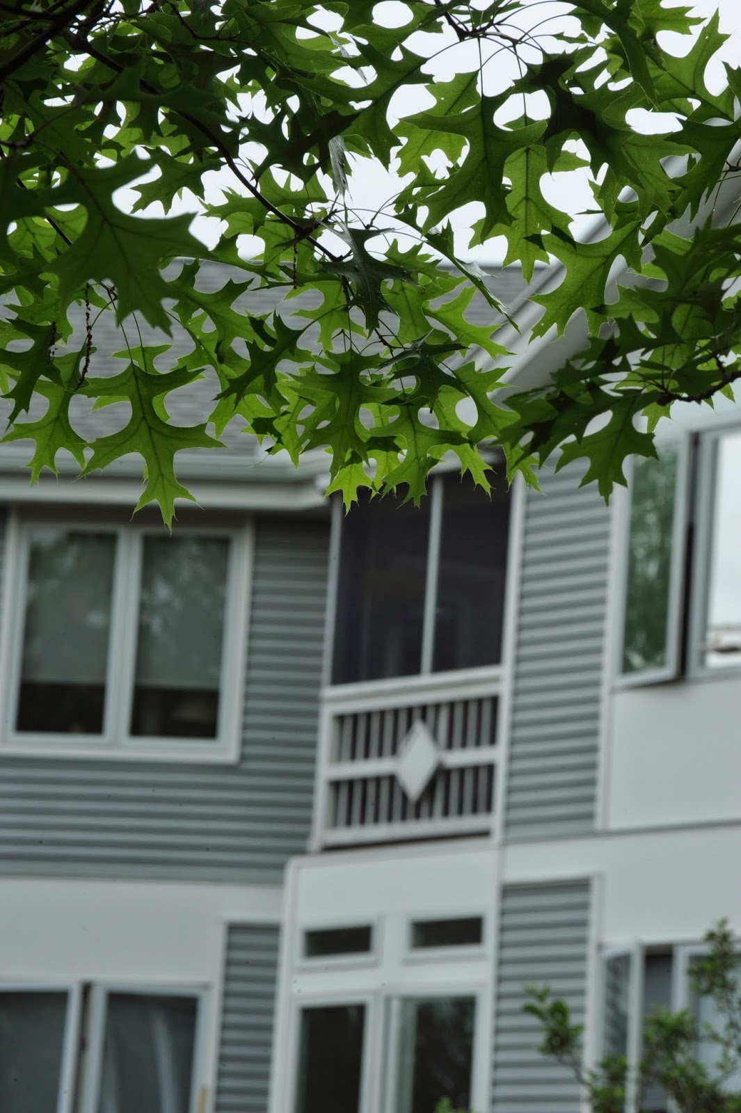Applewood at Amherst