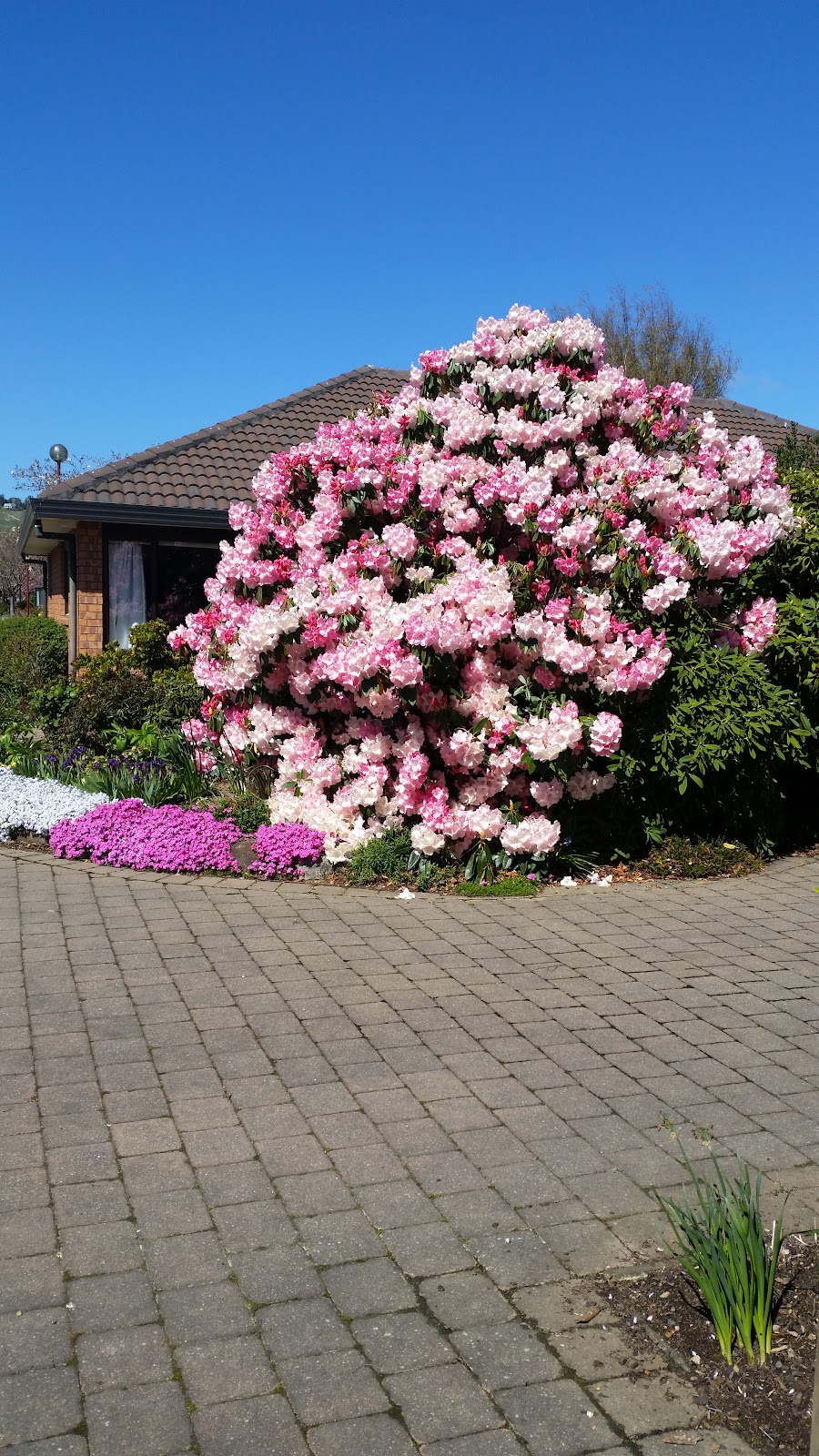Chatsford - The Lifestyle Choice