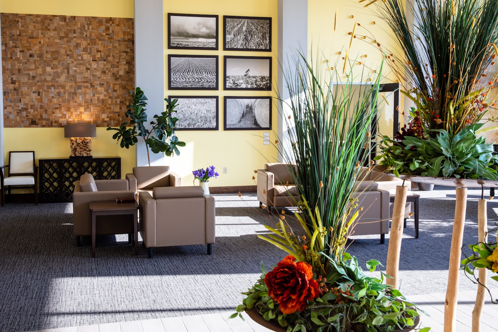 Dove Estates Senior Living Community