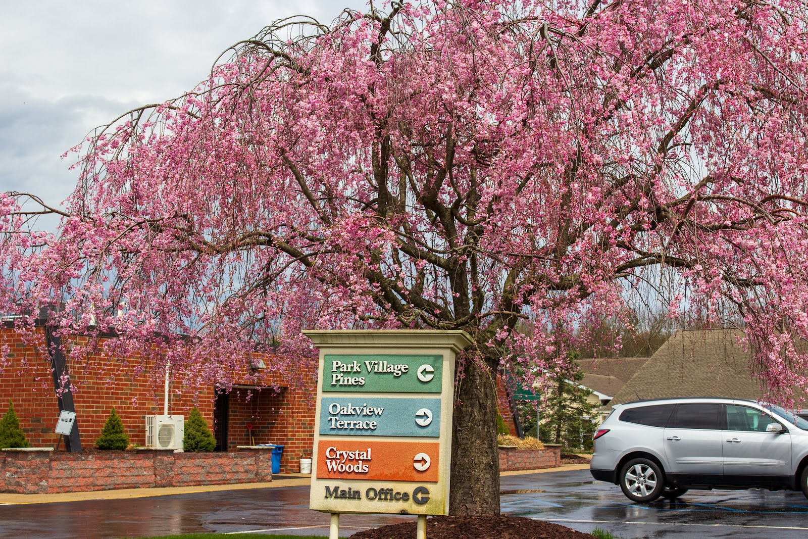 Park Village Pines