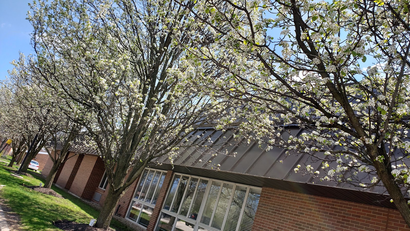 Brandel Care Center