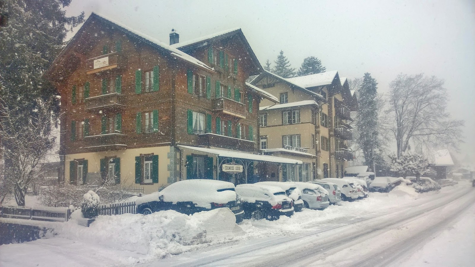 Edelweiss Lodge