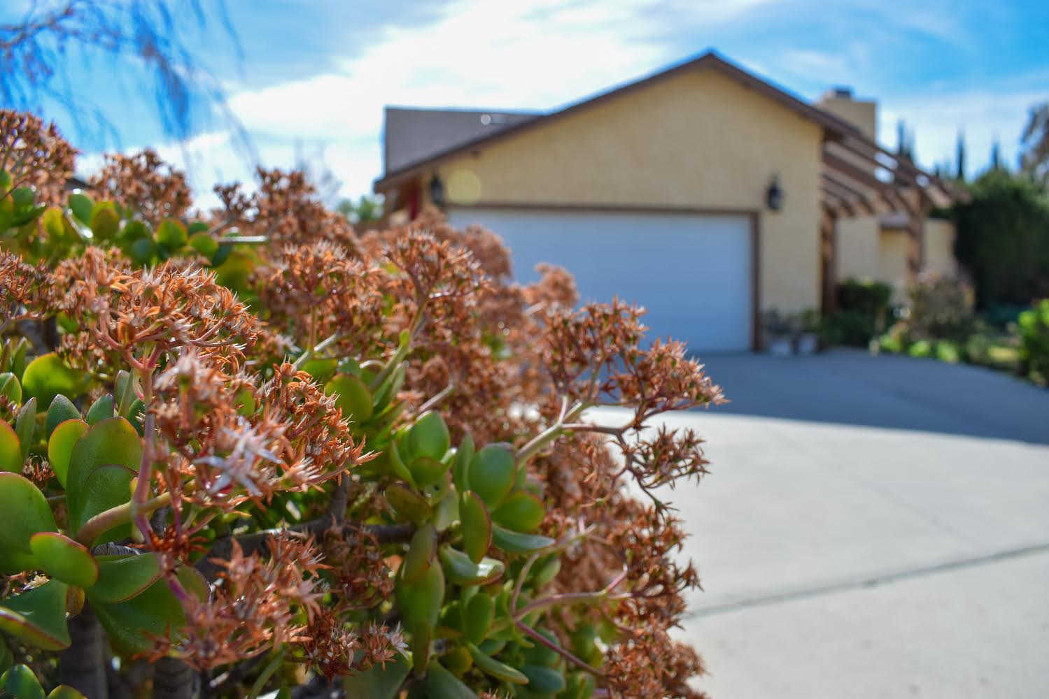 Green Valley Home Care