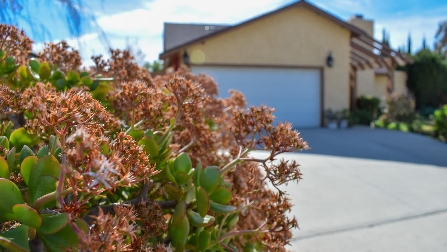 Green Valley Home Care