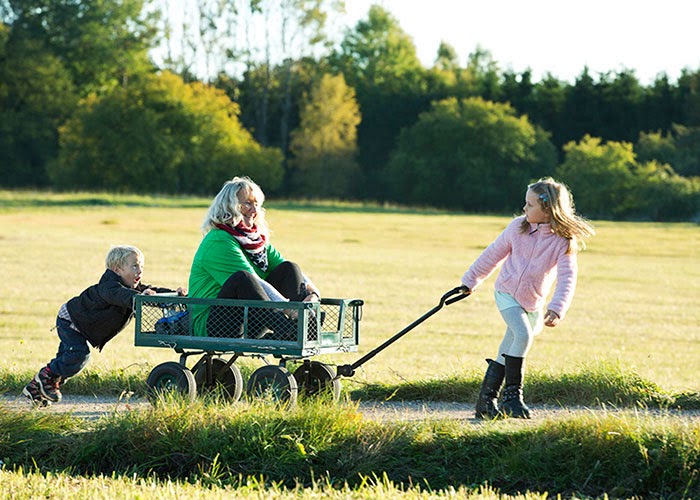 Veteranpoolen Uppsala