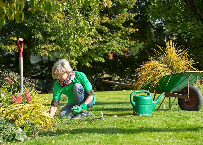 Veteranpoolen Uppsala