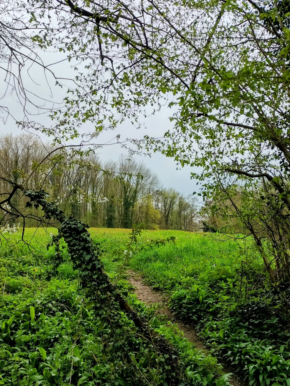 Buurtzorghuis Hospice Bronnenbos Geulle