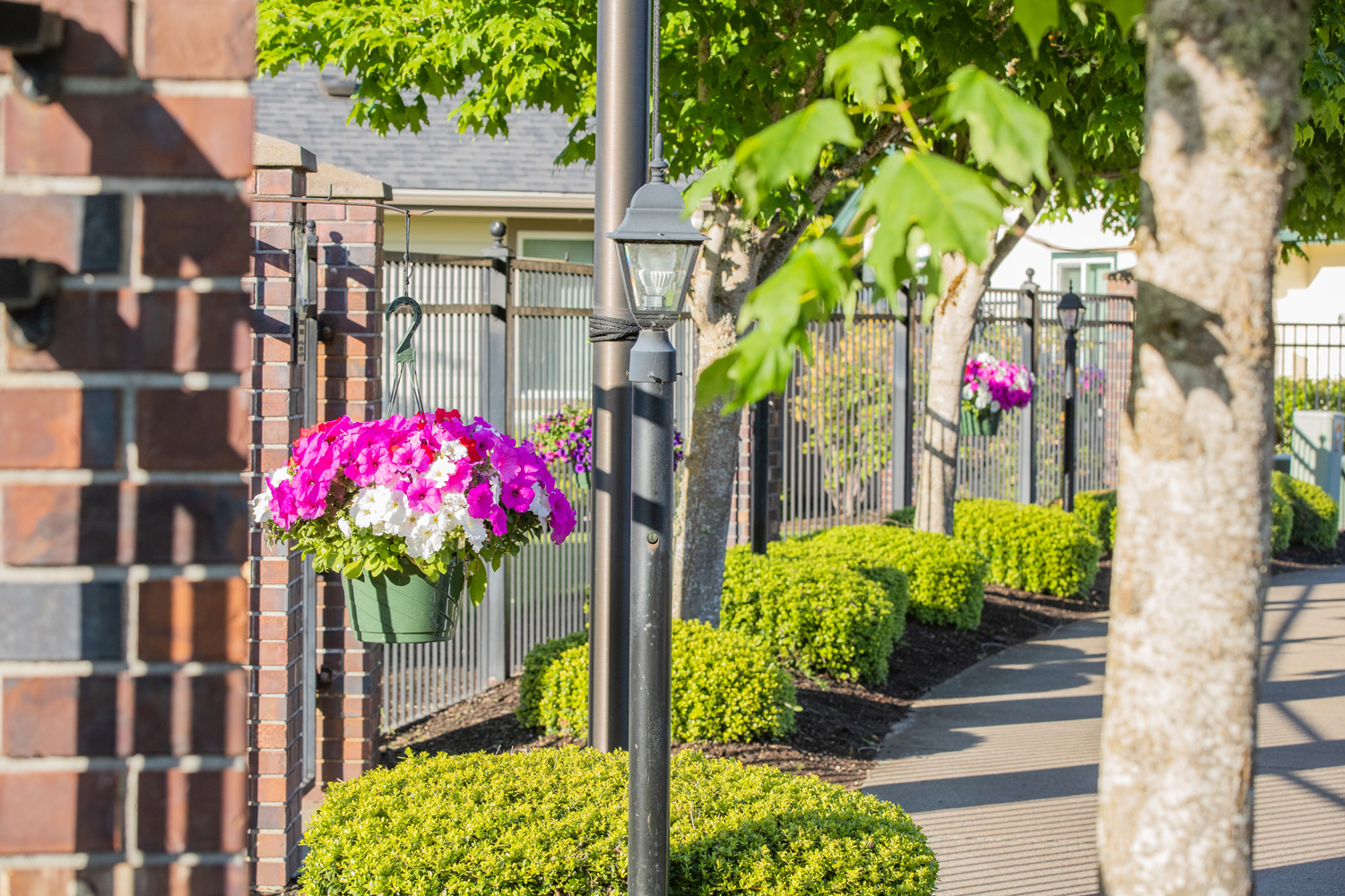 Gateway Gardens