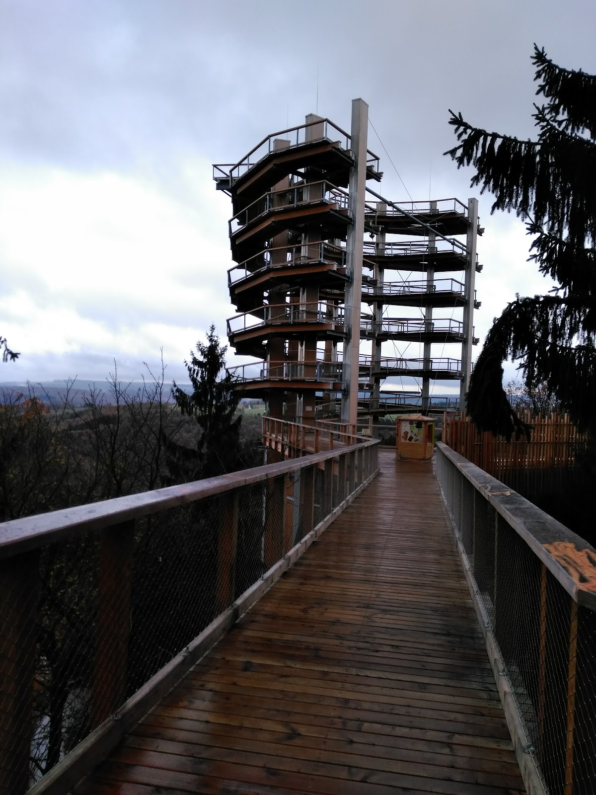 Treetop Walk Saarschleife