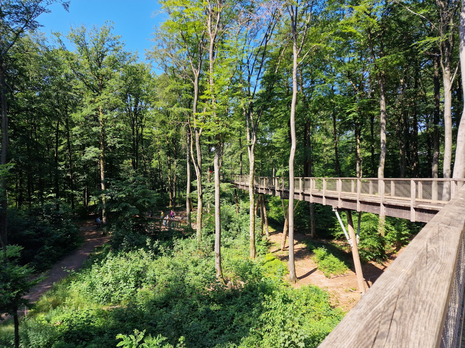 Treetop Walk Saarschleife