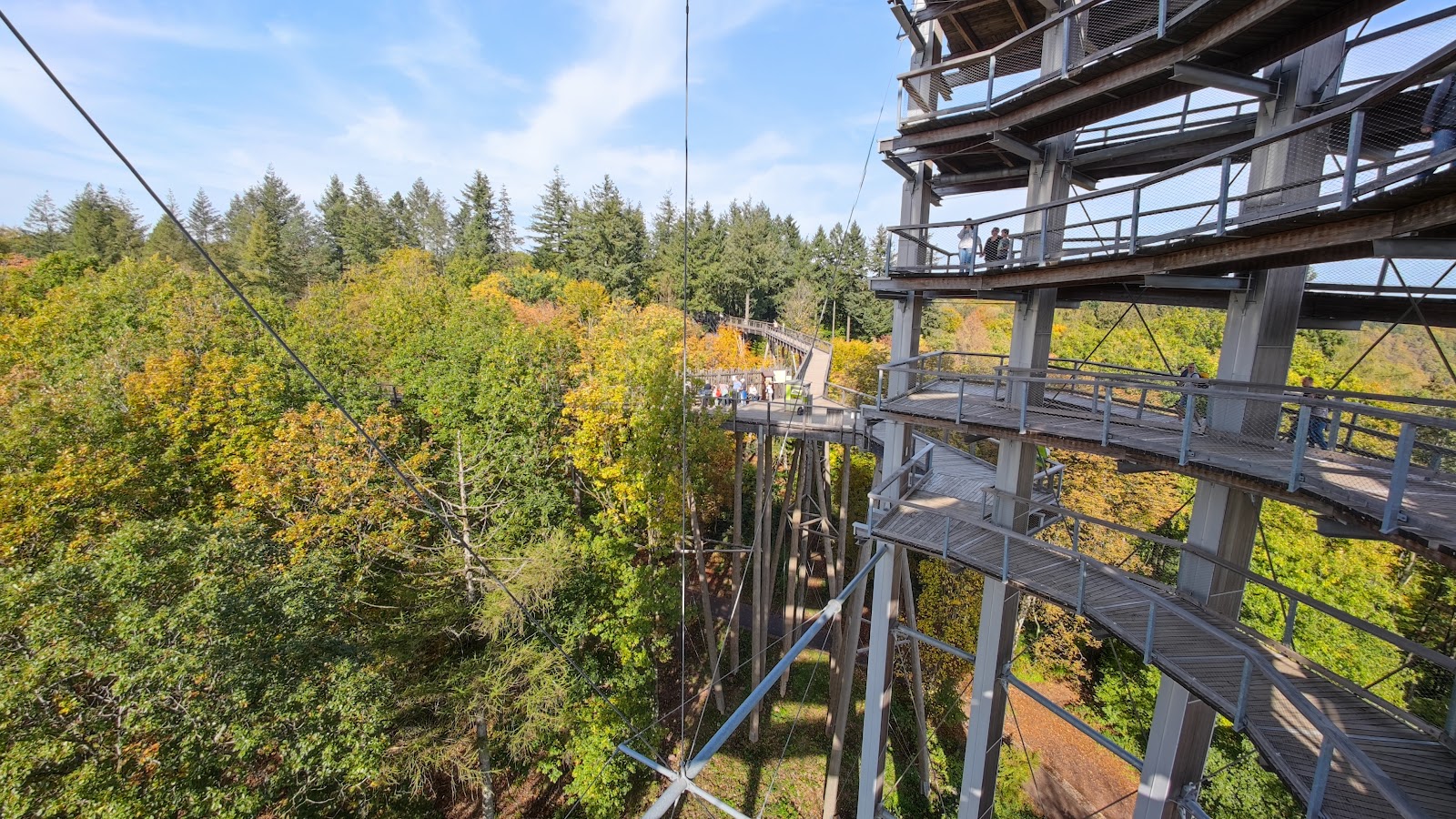 Treetop Walk Saarschleife