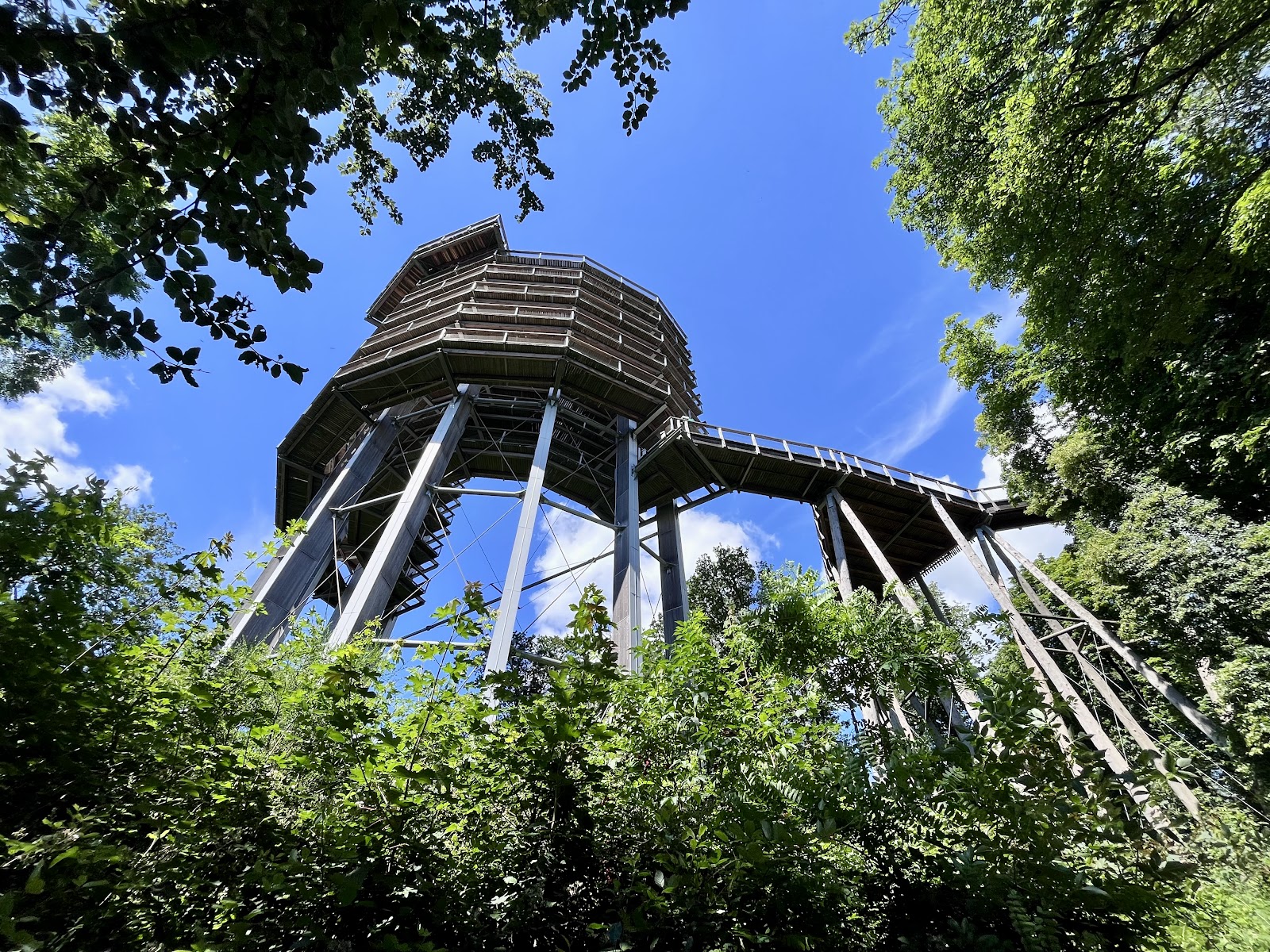 Treetop Walk Saarschleife