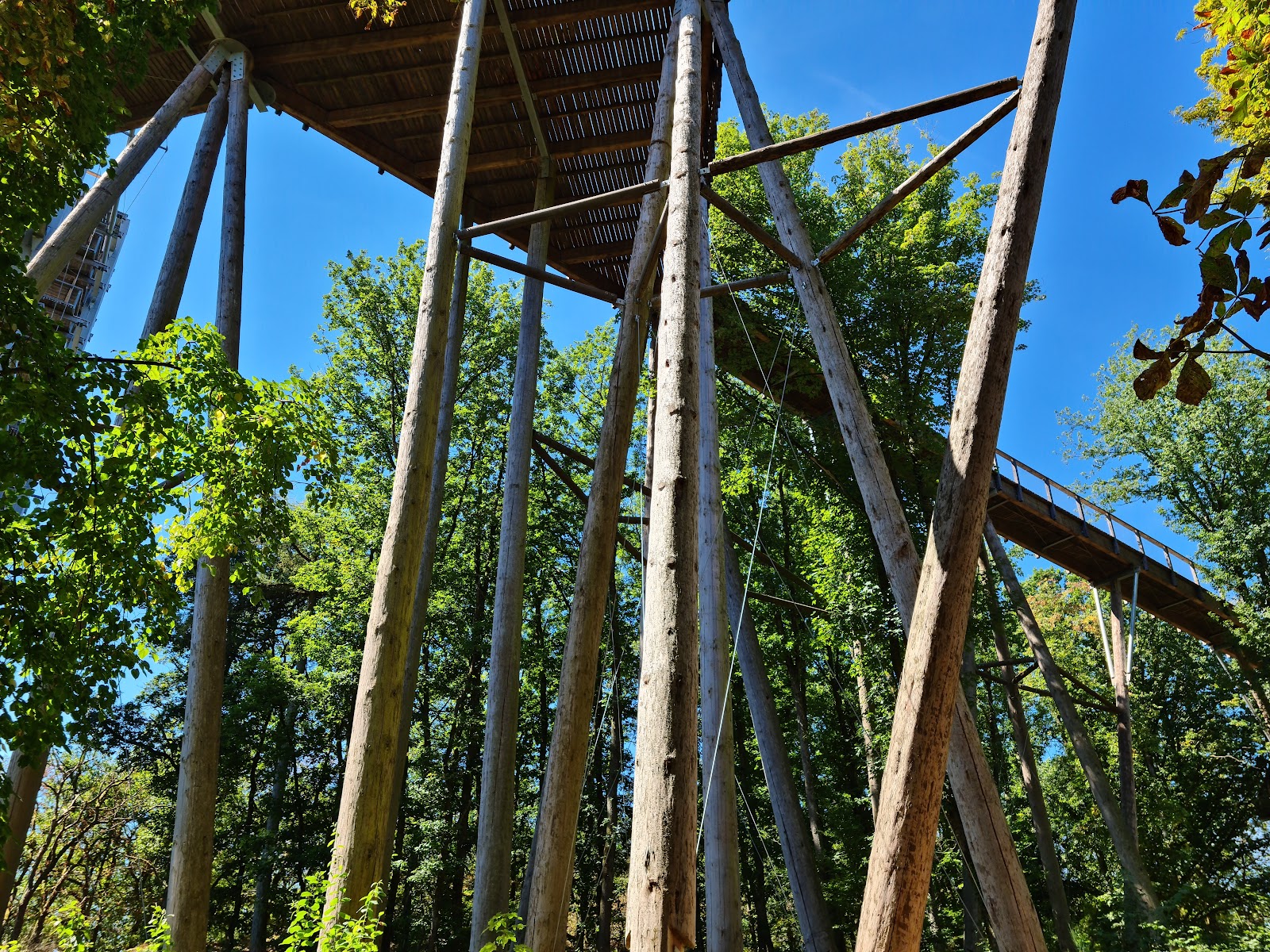 Treetop Walk Saarschleife