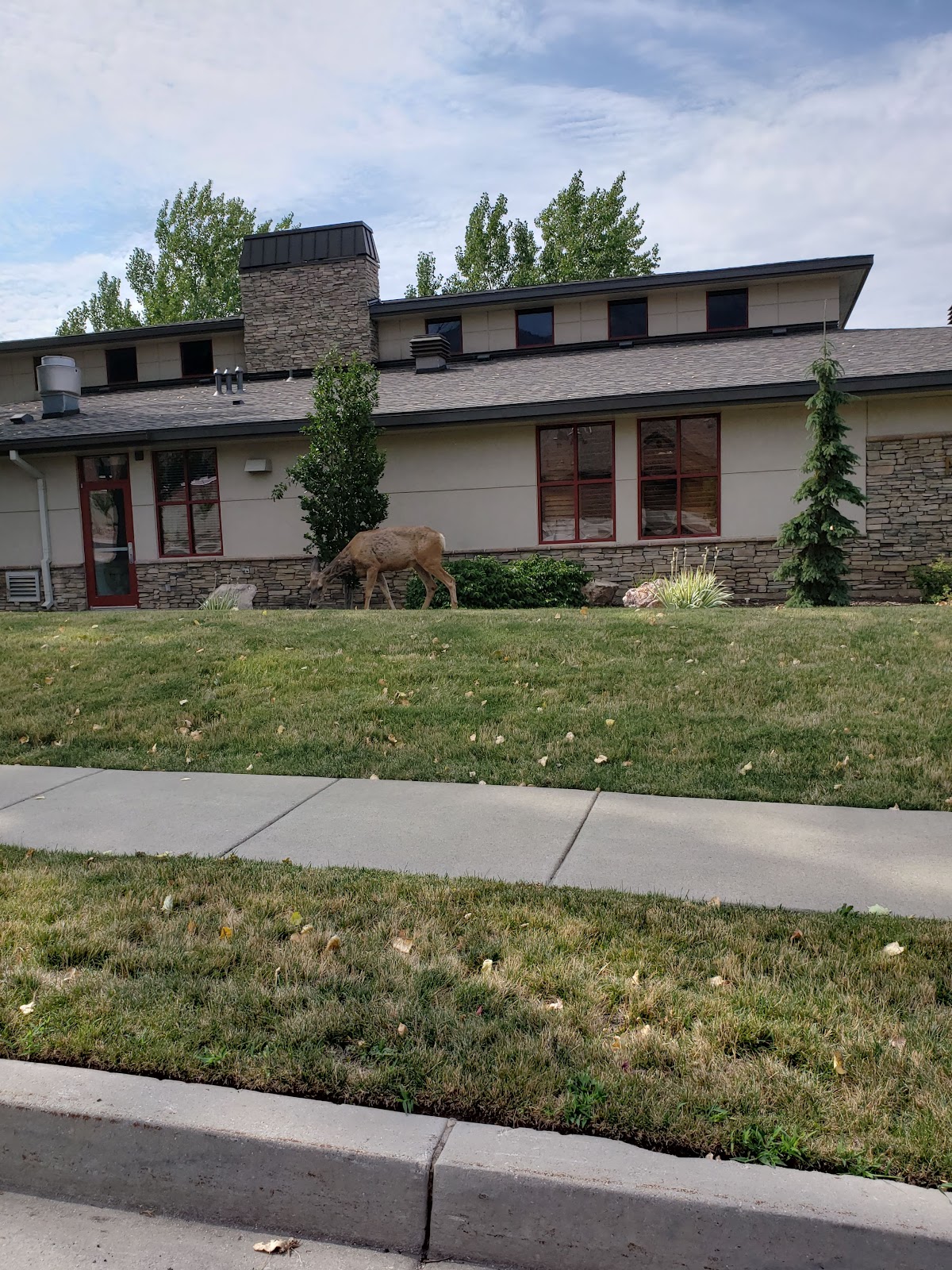North View Senior Center