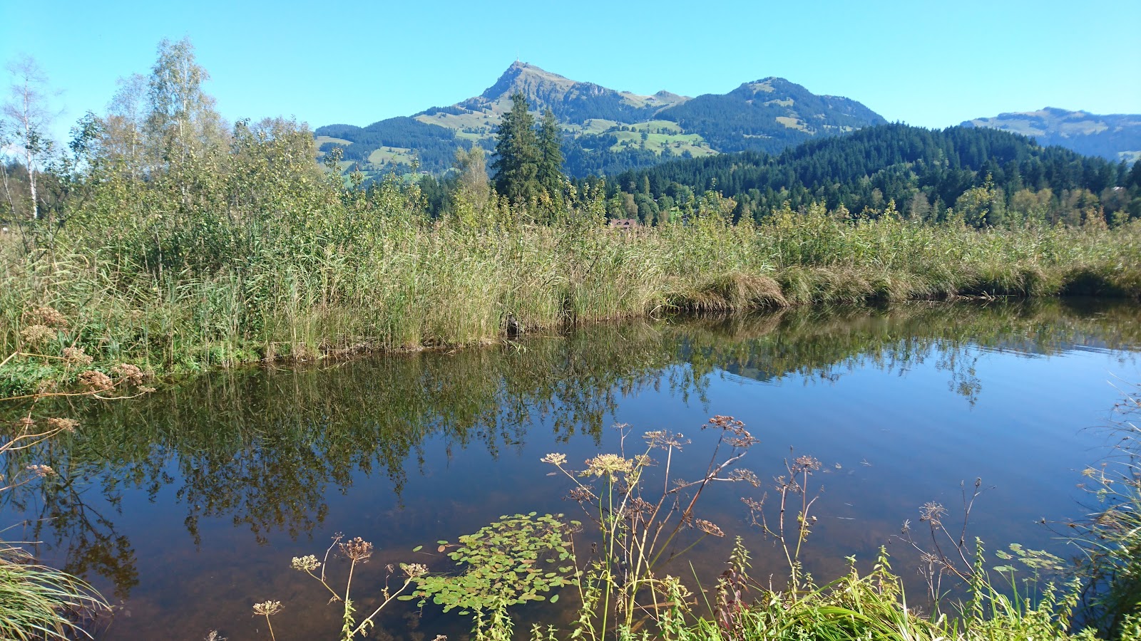 Fewo Auracherhof