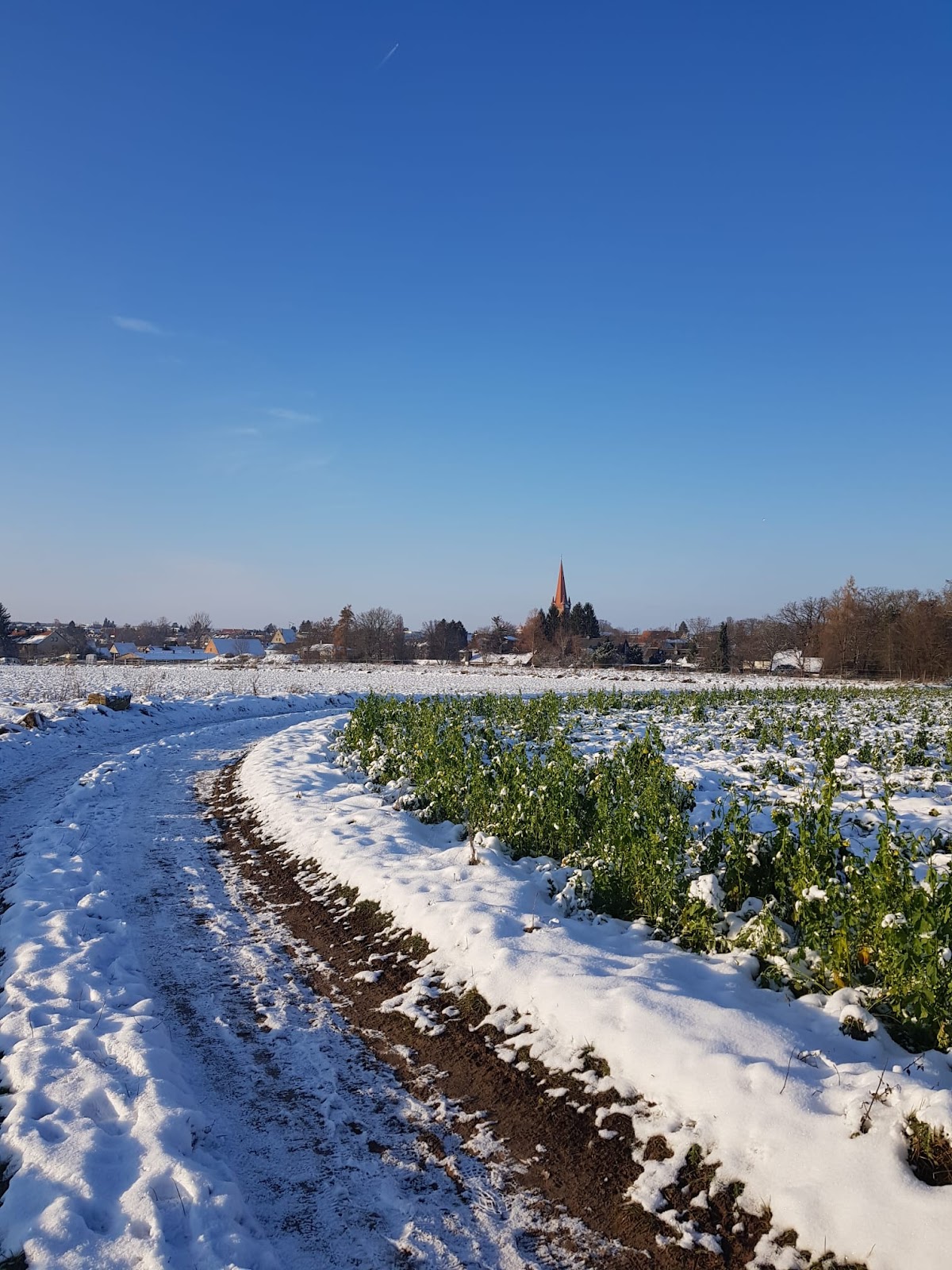 das labOHR KG, Hörsysteme & Gehörschutz Pfronten