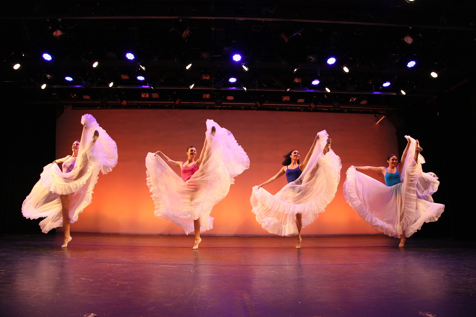 The American Musical and Dramatic Academy