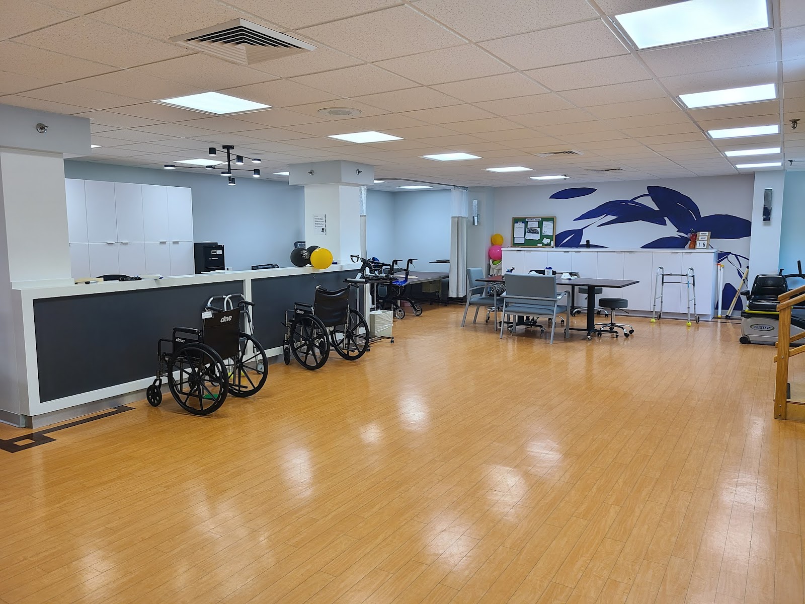 Arista Healthcare (skilled nursing facility)