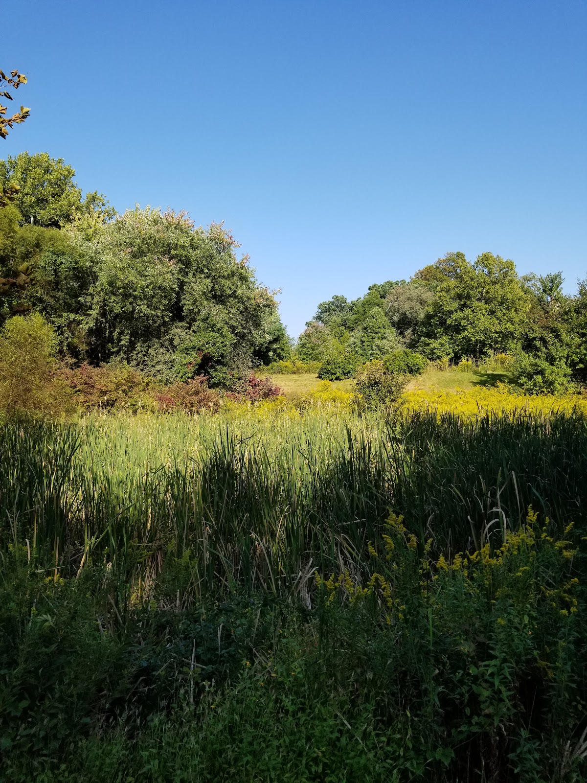 Jenner's Pond Retirement Community
