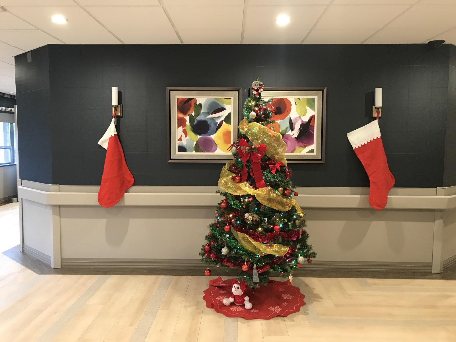 Highfield Gardens Care Center of Great Neck