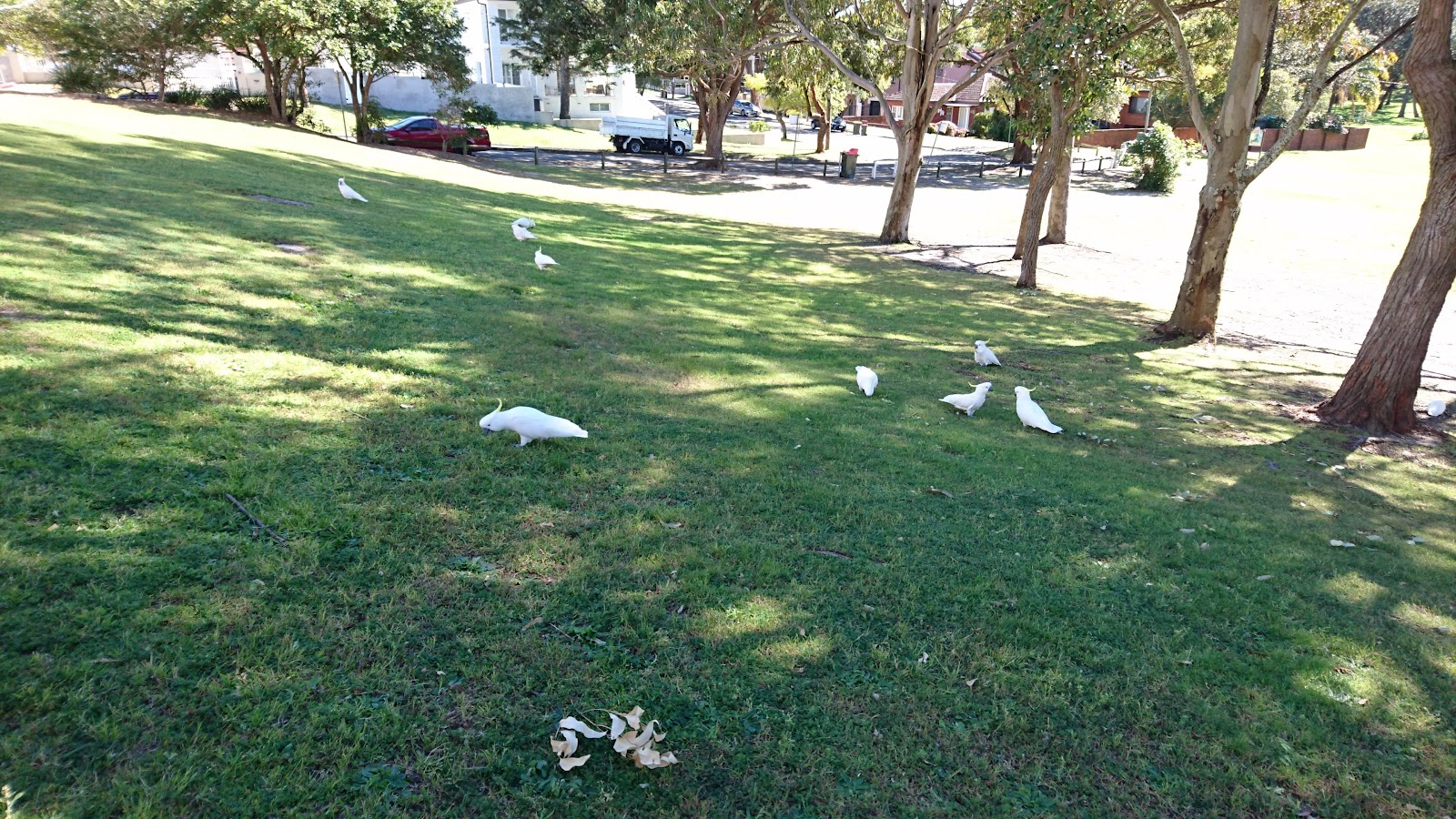 Bayside Park Retirement