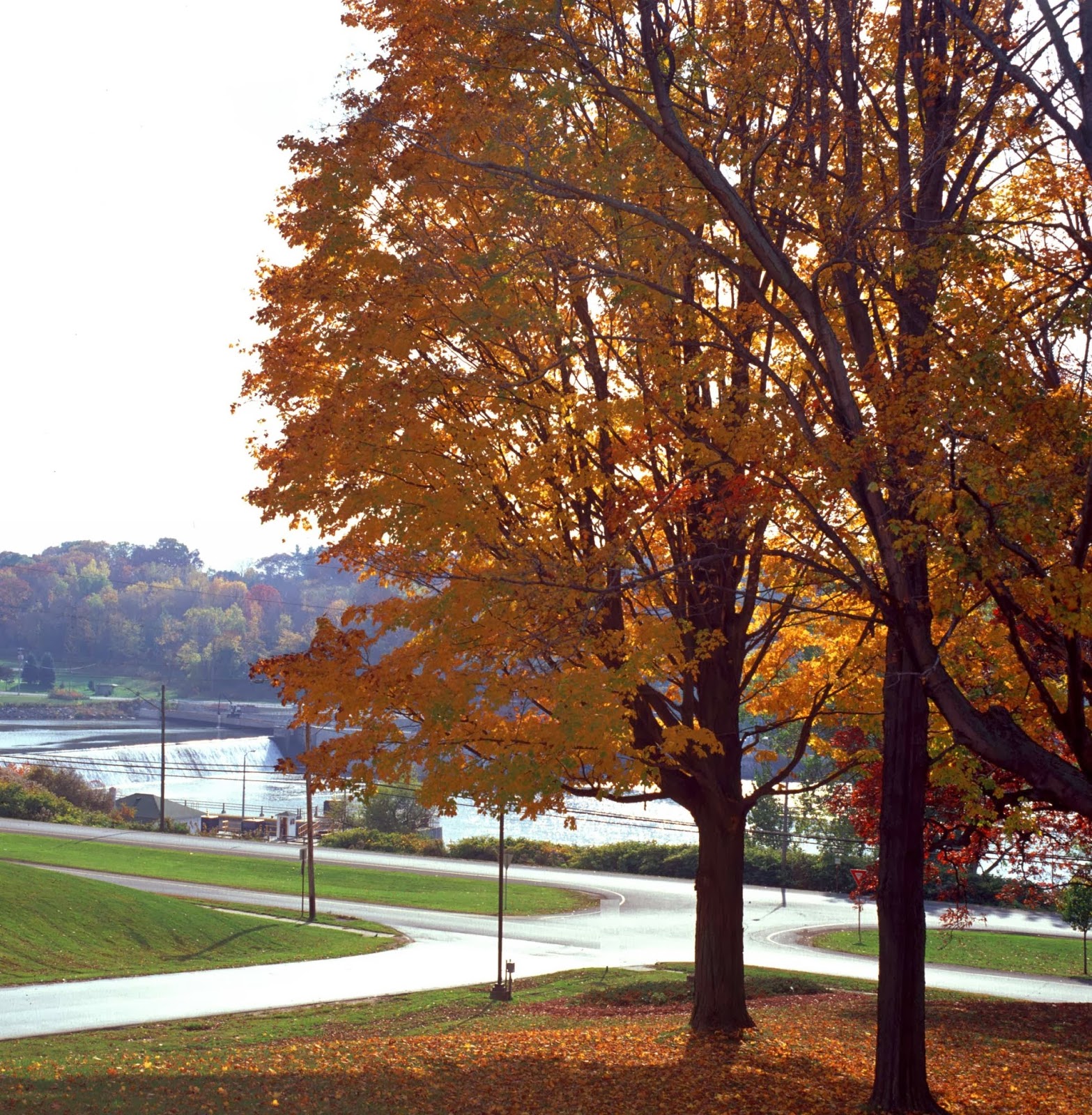 Bishop's Commons at St. Luke