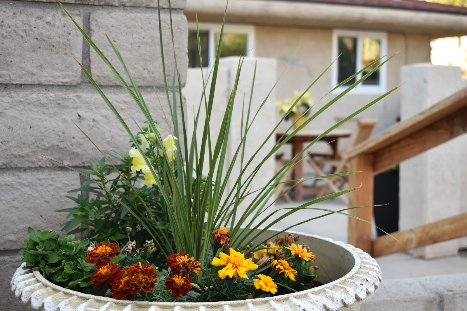Desert Cove Assisted Living at Desert Hot Springs