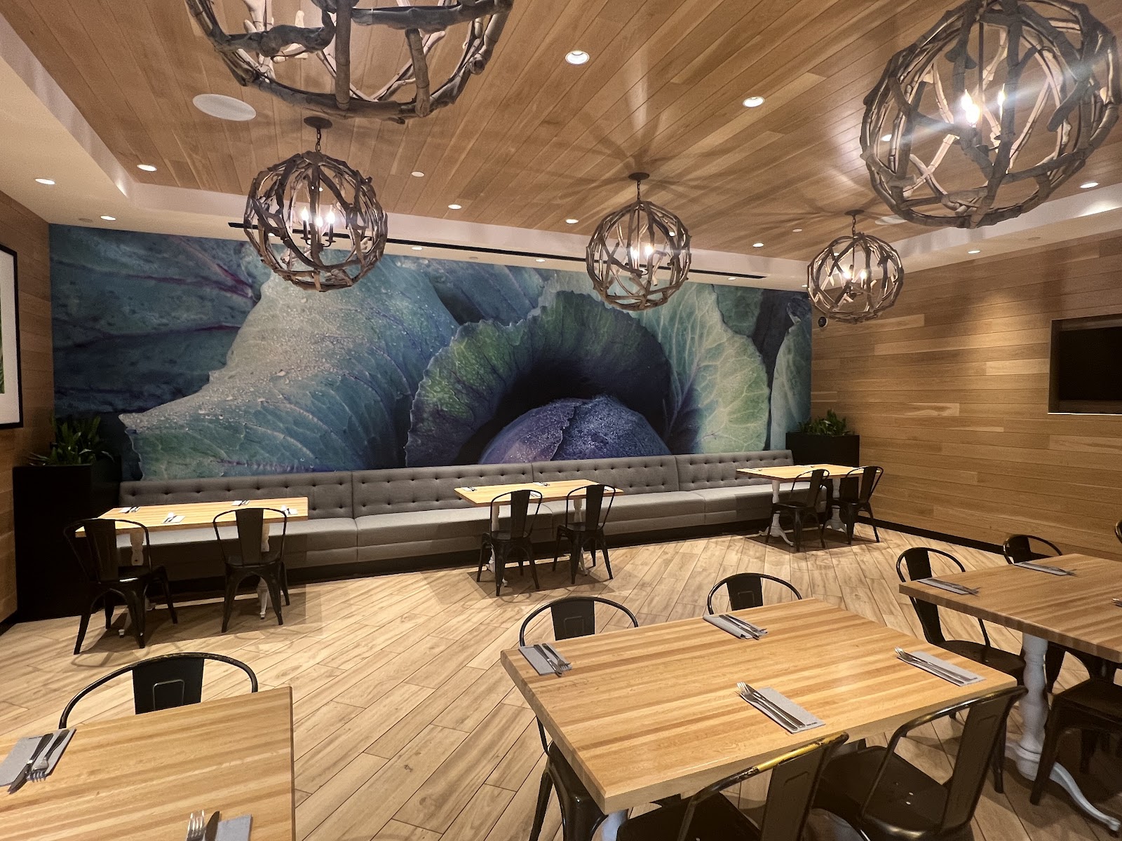 True Food Kitchen