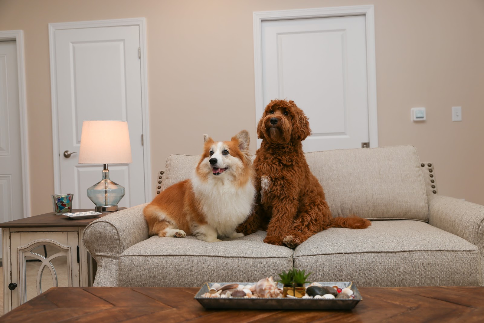 Legacy Living Jasper