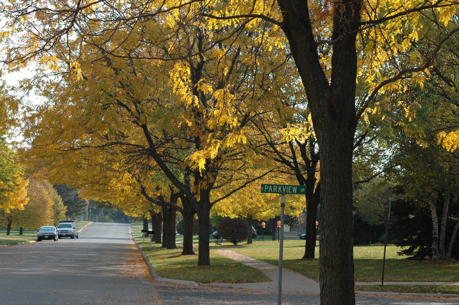 Parkview Home of Freeport