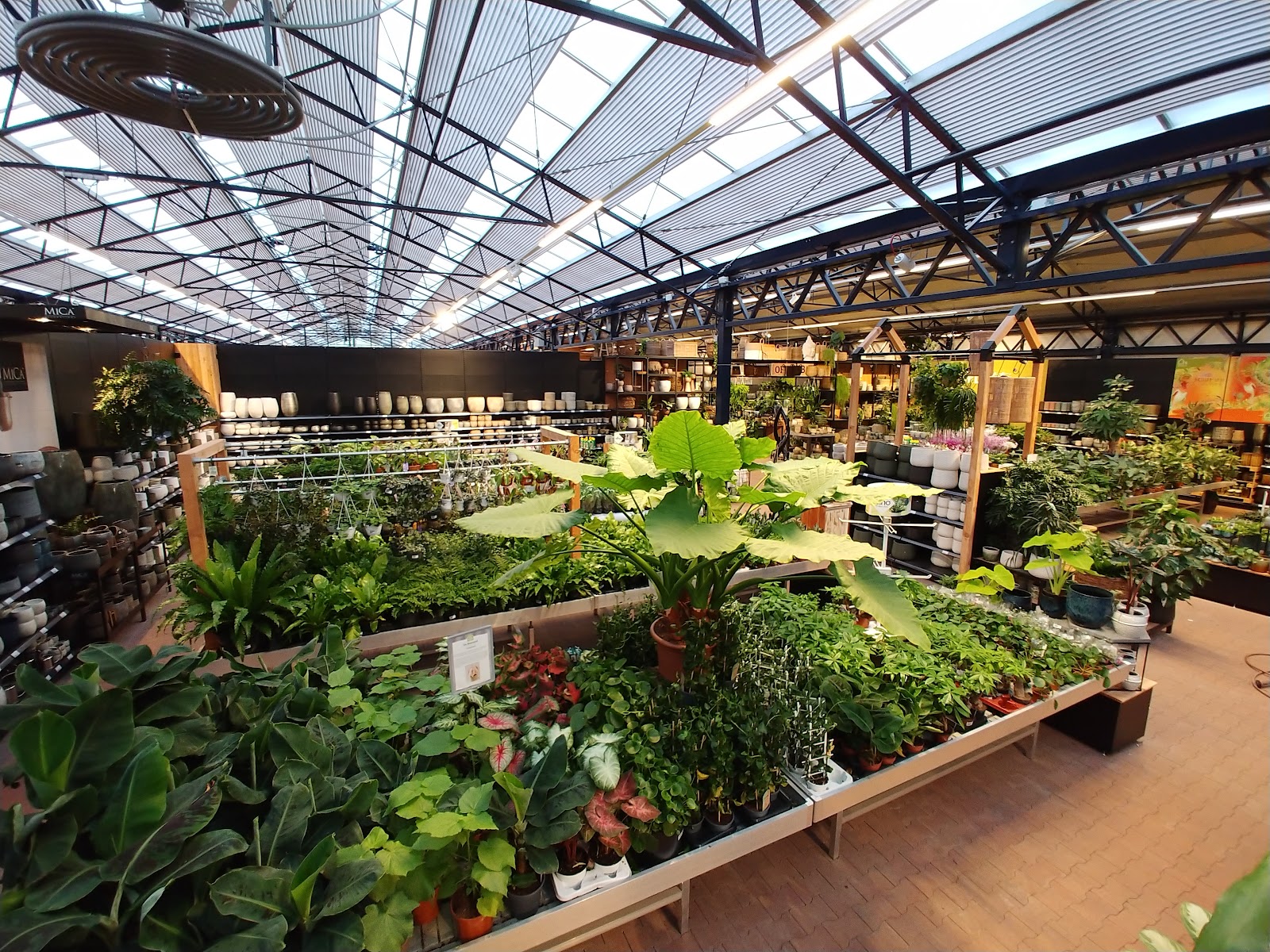 Tuincentrum De Bosrand Oegstgeest
